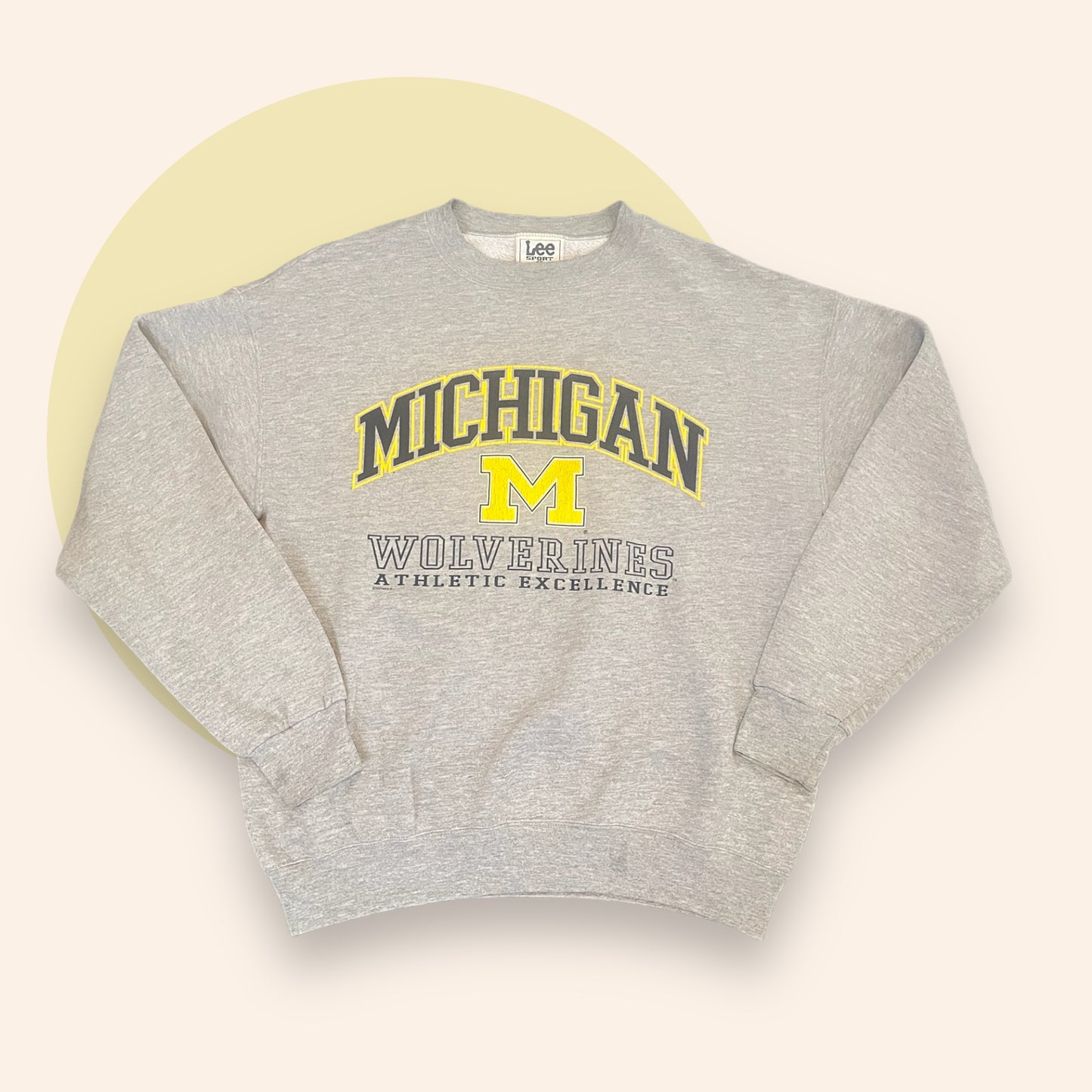 Rare Vintage Michigan Wolverines college football crew neck (L)